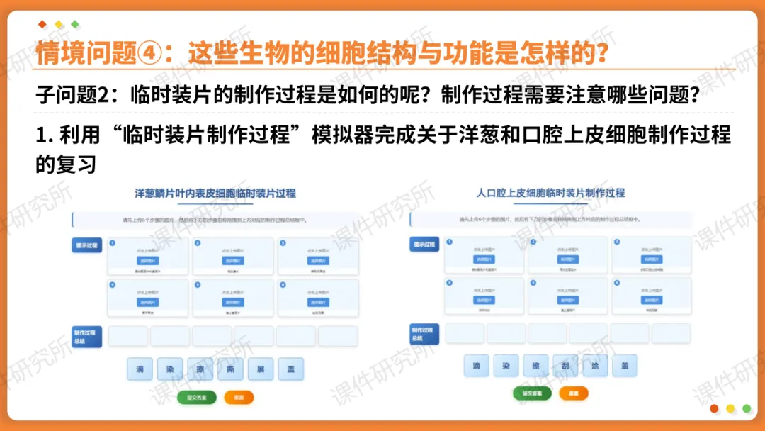 AI赋能生物复习课!——中考生物情境复习《细胞和生物体的结构层次》课件设计“生物编辑招聘”情境,带学生快速进入复习状态!丨自营系列 第19张 AI赋能生物复习课!——中考生物情境复习《细胞和生物体的结构层次》课件设计“生物编辑招聘”情境,带学生快速进入复习状态!丨自营系列 第19张