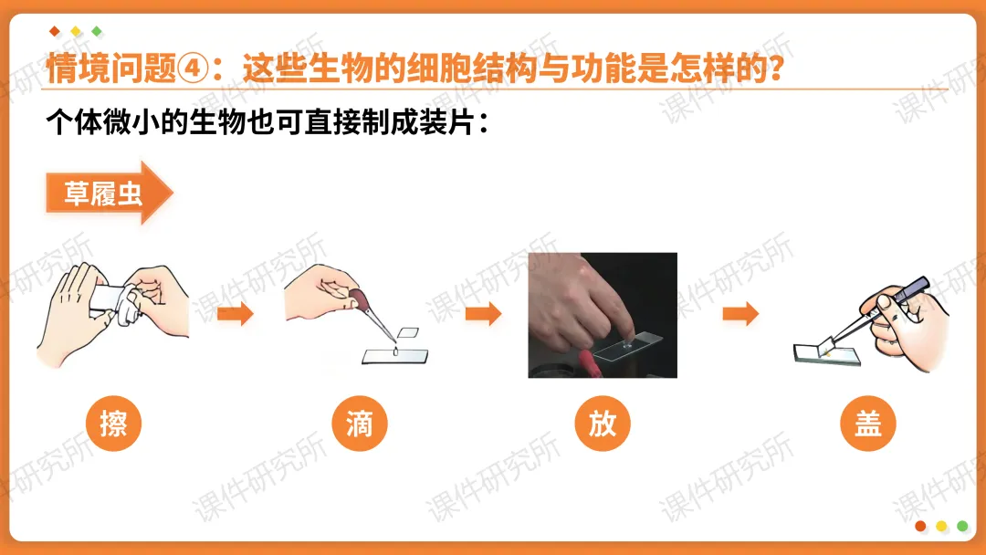 AI赋能生物复习课!——中考生物情境复习《细胞和生物体的结构层次》课件设计“生物编辑招聘”情境,带学生快速进入复习状态!丨自营系列 第21张 AI赋能生物复习课!——中考生物情境复习《细胞和生物体的结构层次》课件设计“生物编辑招聘”情境,带学生快速进入复习状态!丨自营系列 第21张