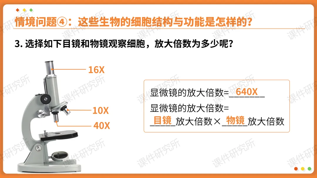 AI赋能生物复习课!——中考生物情境复习《细胞和生物体的结构层次》课件设计“生物编辑招聘”情境,带学生快速进入复习状态!丨自营系列 第23张 AI赋能生物复习课!——中考生物情境复习《细胞和生物体的结构层次》课件设计“生物编辑招聘”情境,带学生快速进入复习状态!丨自营系列 第23张