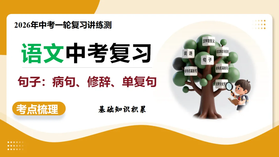 2026年中考复习第03讲《句子:病句、修辞、单复句》讲练测 第2张