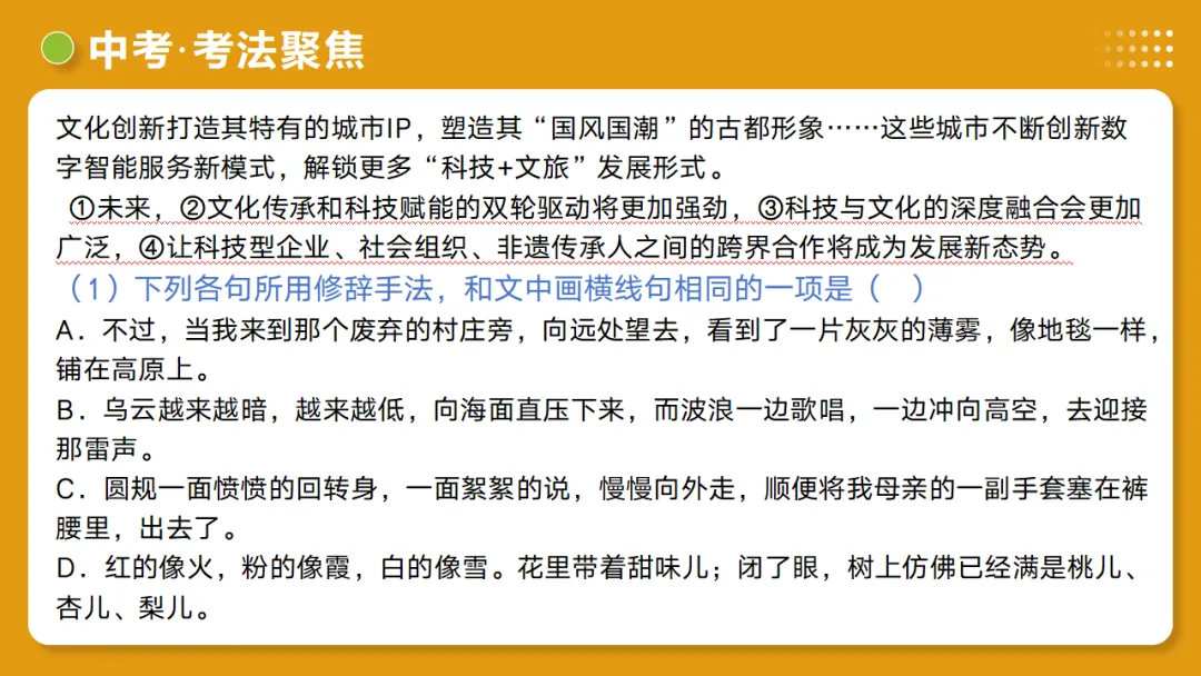 2026年中考复习第03讲《句子:病句、修辞、单复句》讲练测 第46张