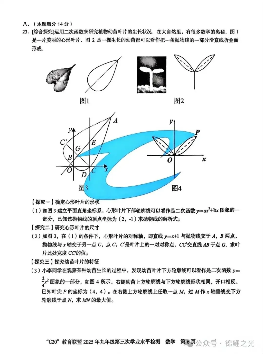 2025安徽中考C20教育联盟第三次月考 卷 第6张