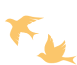 不负韶华时光,满载收获起航——太原习知中考复读学校2025-2026学年第一学期期末表彰大会 第122张