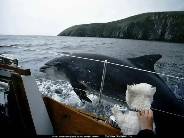 《西游记》中考填空题 第1张