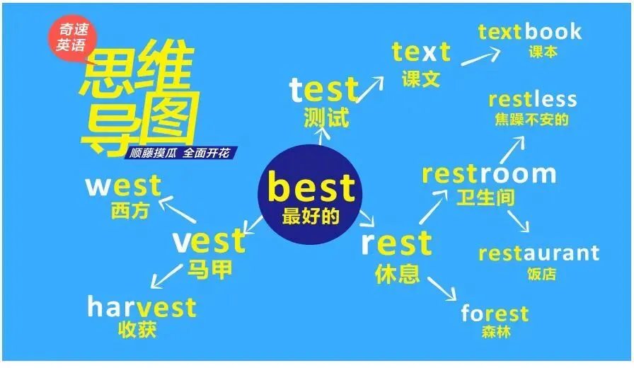 《弯道超车:你的中考英语短语突破计划》 (Day 5) 第19张