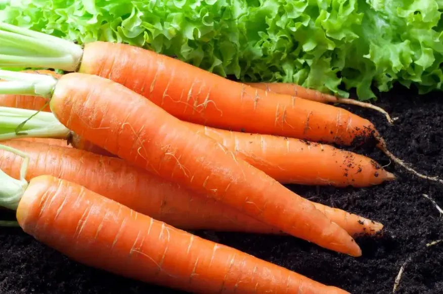 【福建体育中考寒假备考】官方中考体育示范视频!备考饮食禁忌、常见运动损伤预防…… 第26张