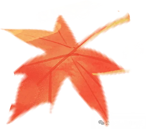 【中考真题】2025年陕西省中考英语试题及答案 第1张