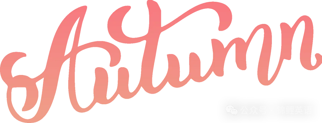 【中考真题】2025年陕西省中考英语试题及答案 第3张