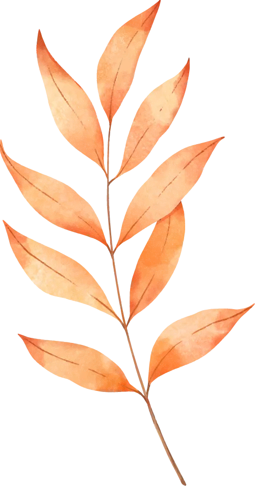 上海中考自招各科考点|物理、化学篇 第8张