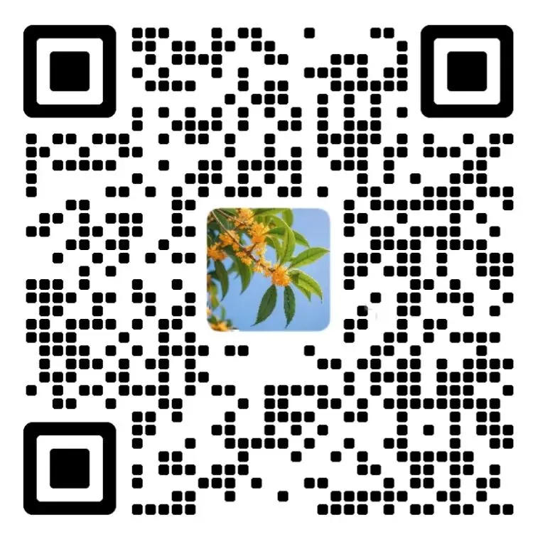 上海中考数学重难点压轴题专项训练(含答案解析) 第14张 上海中考数学重难点压轴题专项训练(含答案解析) 第14张