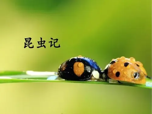 初中语文12部必考名著超全知识梳理,中考必看! 第7张 初中语文12部必考名著超全知识梳理,中考必看! 第7张