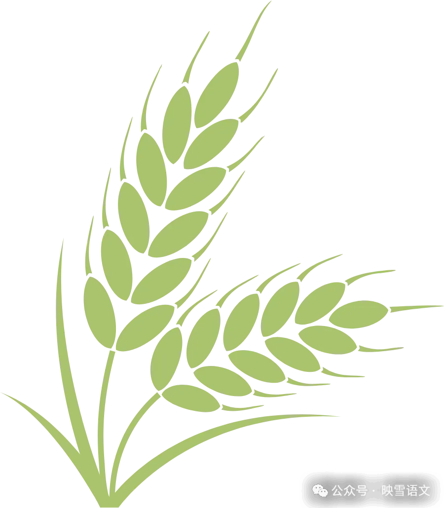 中考作文真题全攻略|收集自己“美”的证据(2025年陕西省中考) 第5张 中考作文真题全攻略|收集自己“美”的证据(2025年陕西省中考) 第5张