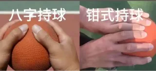 宁波体育中考,你准备好了吗? 第4张