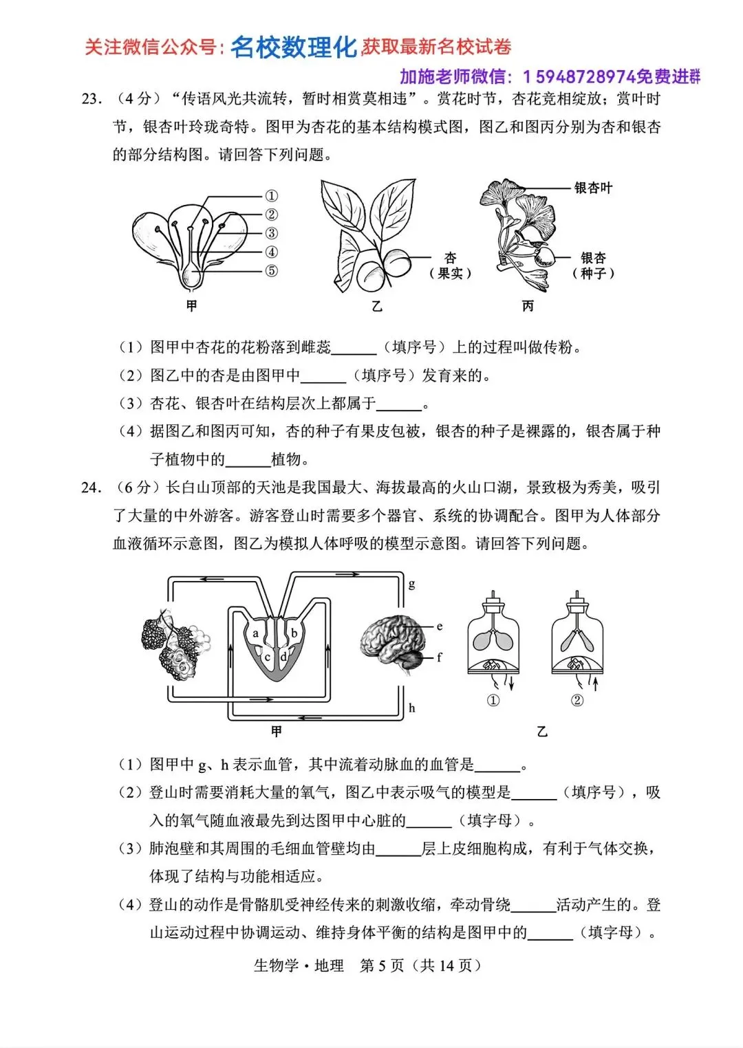 2025年长春市中考【生物】真题+【官方参考答案】+【高清试卷】 第7张