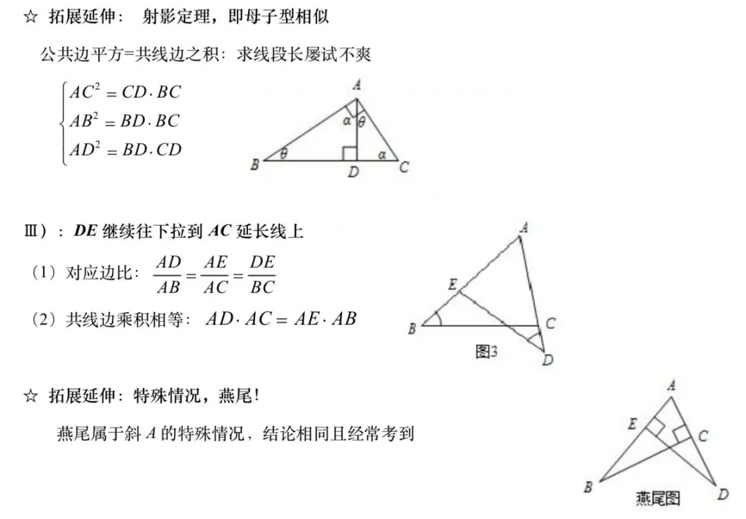 中考||重要考点【相似模型】汇总,8种重要模型解读! 第7张