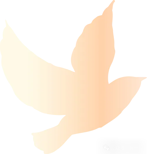 2026年杭州中考倒计时!民办高中和国际高中怎么选?家长了解一下! 第6张