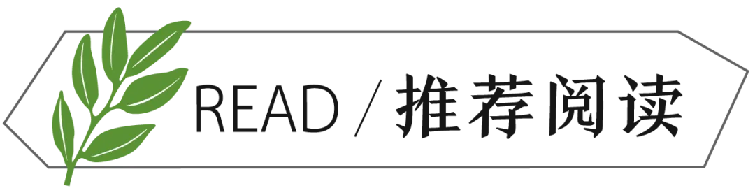 女孩中考742分上专科是“目光短浅”?网友吵翻了 第15张