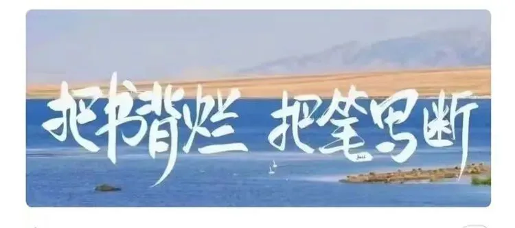 中考语文三轮复习指南:从焦虑到从容的提分路径 第53张