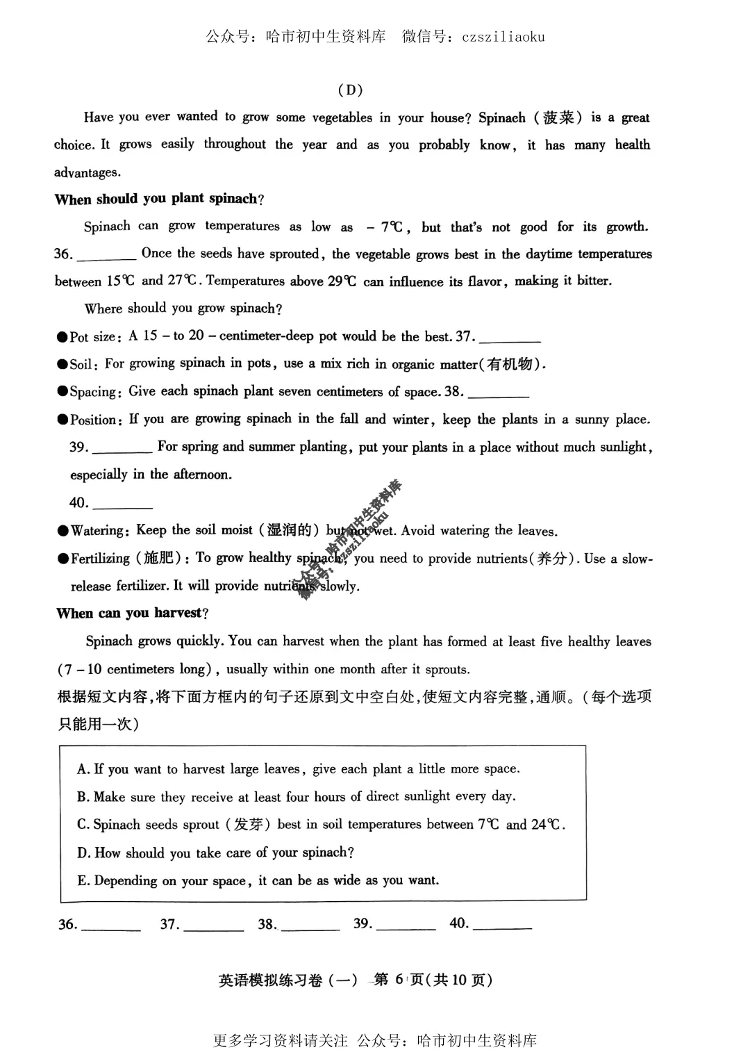 2025中考·南岗区5套·英语模拟练习卷+答案 第6张