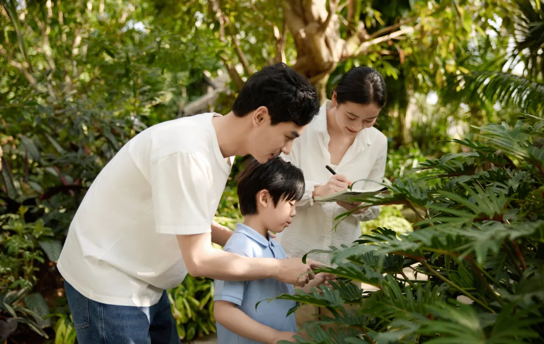 儿子中考失利,母子先后从18楼跳下,细节让人心痛:如果你有孩子,一定要做好这三个辅助 第8张