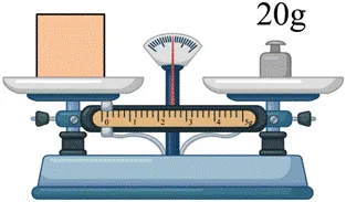 物理中考必考常考实验---用托盘天平测量物体的质量 第1张 物理中考必考常考实验---用托盘天平测量物体的质量 第1张