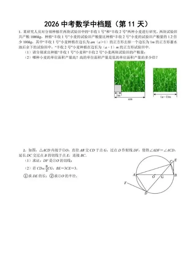 初三家长必看,2026中考数学中档题每日练 第12张