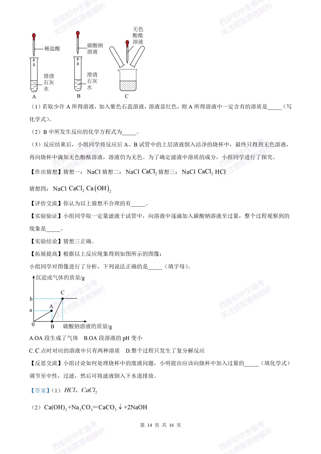 中考复习,五大名校真题!西安模拟:【2025西工大附中】九年级三模考试,化学试题,试卷+完整版答案,免费下载! 第28张 中考复习,五大名校真题!西安模拟:【2025西工大附中】九年级三模考试,化学试题,试卷+完整版答案,免费下载! 第28张
