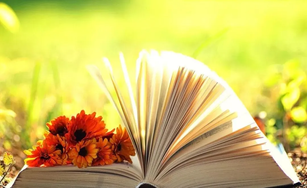 中考新政出台:青少年家庭教育该往哪儿使劲 第1张