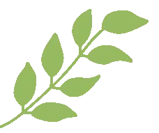 中考数学核心解题大招 文末附获取方式 第2张