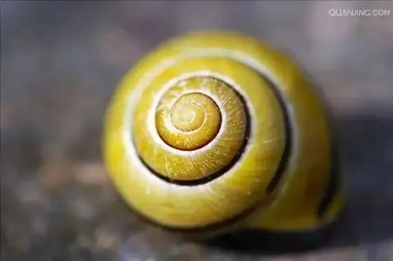 中考微写作任务题设计(二十二) 第2张