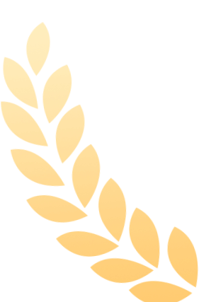 2026陕西省中考《道法》知识点总结!!建议收藏 第8张