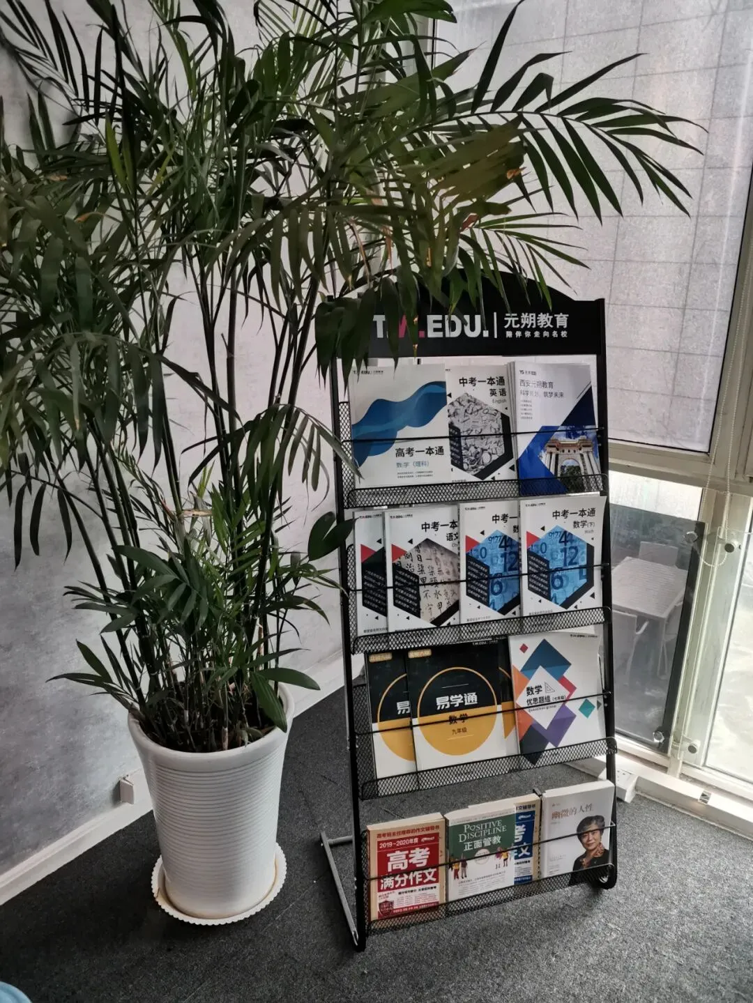 2026陕西省中考《道法》知识点总结!!建议收藏 第12张