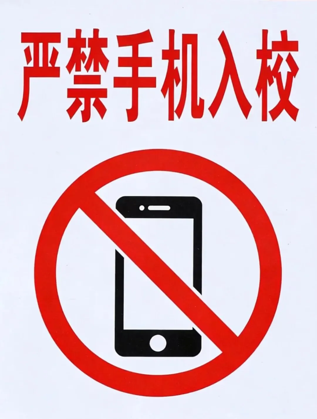 致远中考2026届百天冲刺 第6张