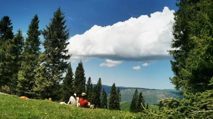“中考作文帮帮练”第二课|在自然中成长:这次邀你写心中向往的那座“山” 第7张 “中考作文帮帮练”第二课|在自然中成长:这次邀你写心中向往的那座“山” 第7张