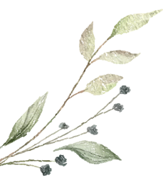 中考转身遇见新机遇:深圳学子不可不知的4条“黄金备选”路径 第6张