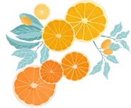 2026中考语文已泄题,考点正在全国同步上映,抓紧来背答案 第91张 2026中考语文已泄题,考点正在全国同步上映,抓紧来背答案 第91张