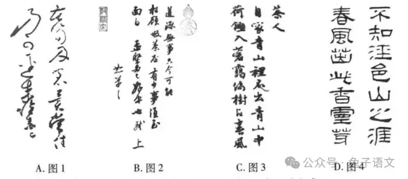 2025年中考基础与运用题汇编3 第4张 2025年中考基础与运用题汇编3 第4张