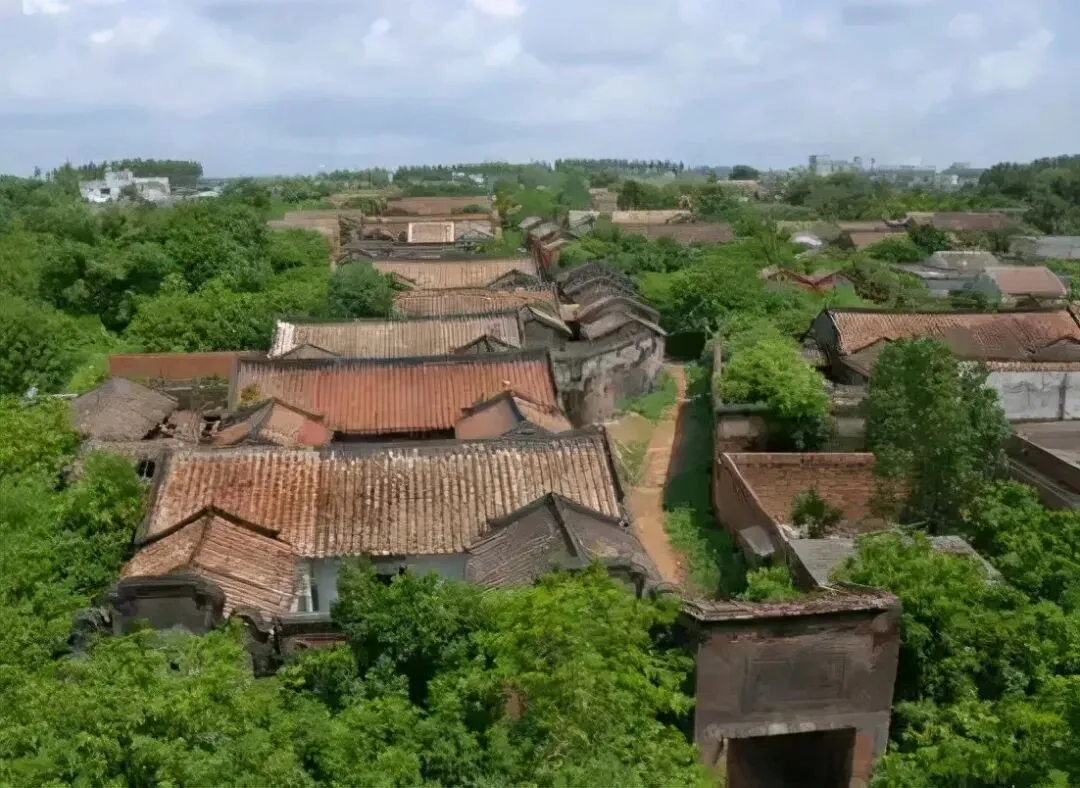 【中考阅读指导】繁花院落对斜阳(何武豪)广东2025 第5张 【中考阅读指导】繁花院落对斜阳(何武豪)广东2025 第5张