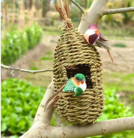 重庆中考英语新题型概要补全练习11参考答案 第1张 重庆中考英语新题型概要补全练习11参考答案 第1张