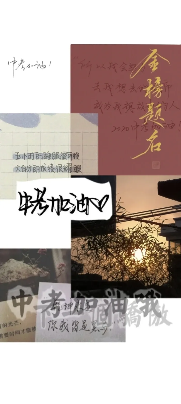 新年换新壁纸,下一站,中考上岸! 第10张 新年换新壁纸,下一站,中考上岸! 第10张