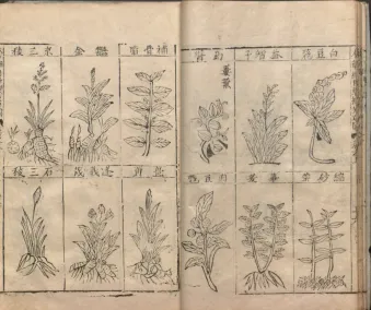 2025年黑龙江省绥化市中考历史真题 第5张