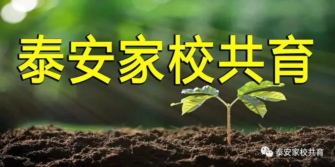 【泰安中考】从近三年录取分数及名次,看2026如何报考重点高中 第1张