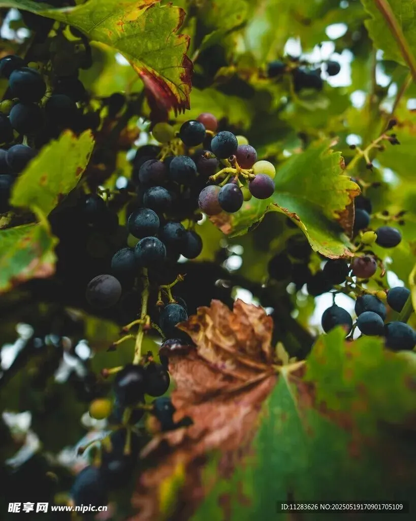 【中考作文之我的亲情故事】幸福有约,纸短情长 第2张