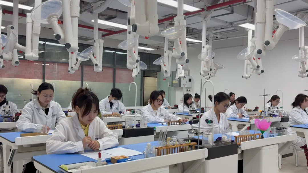 2026届中考全日制,百天冲刺来啦…… 第16张 2026届中考全日制,百天冲刺来啦…… 第16张