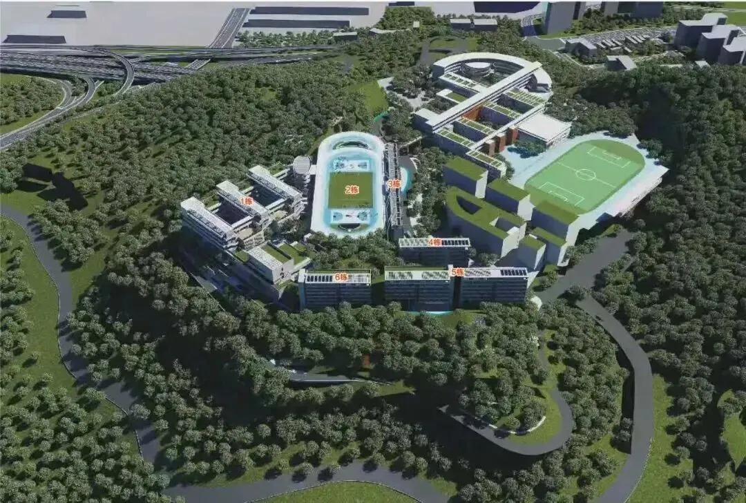 继续新增!2026深圳中考公办普高率有望新高? 第13张