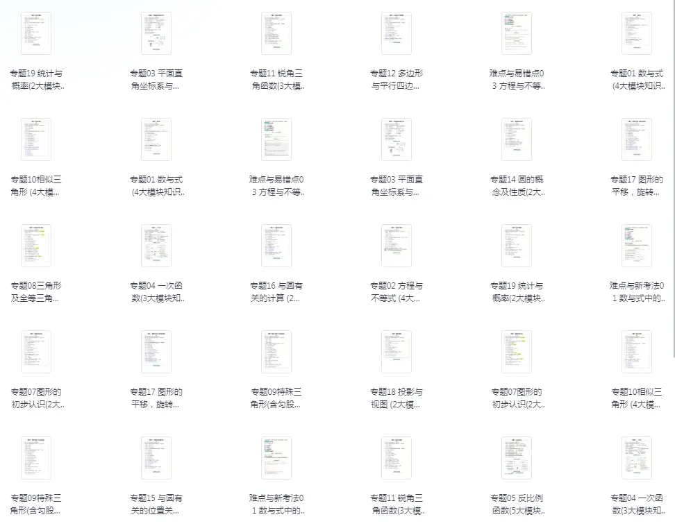 【中考复习】2025中考总复习《专题训练•夯实基础》九科全套(学生+教师版) 第8张