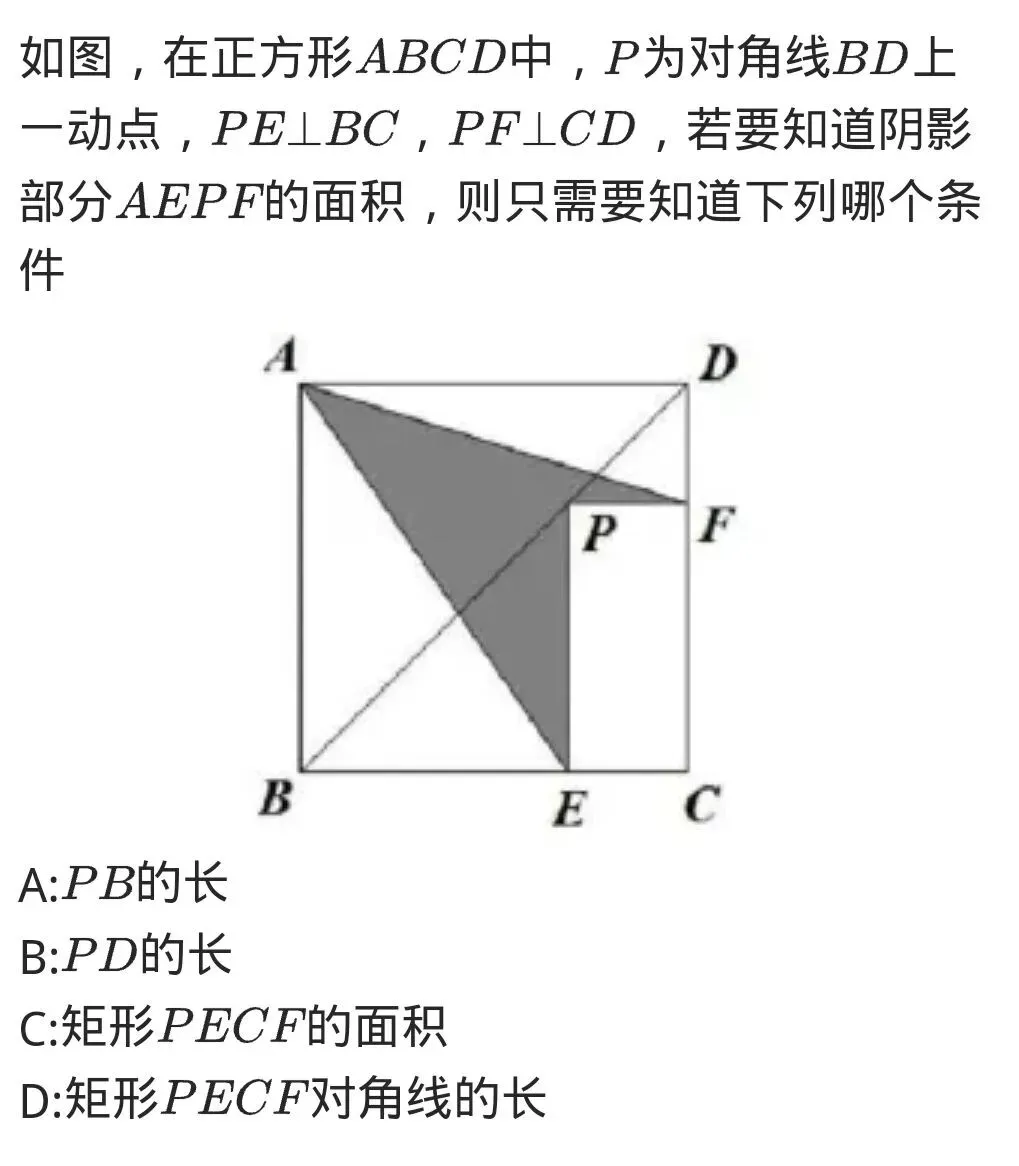 中考重点之正方形中的面积问题 第1张