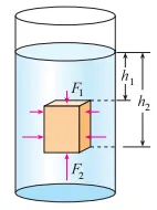 26年中考一轮复习:浮力专题 第5张