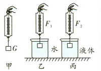 26年中考一轮复习:浮力专题 第31张