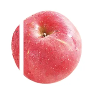 26年中考一轮复习:浮力专题 第66张